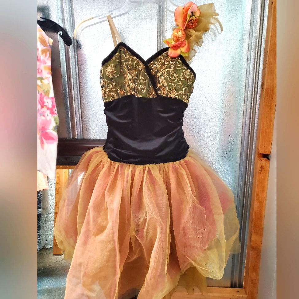 Curtain Call Costumes Dance Theater Dress Up